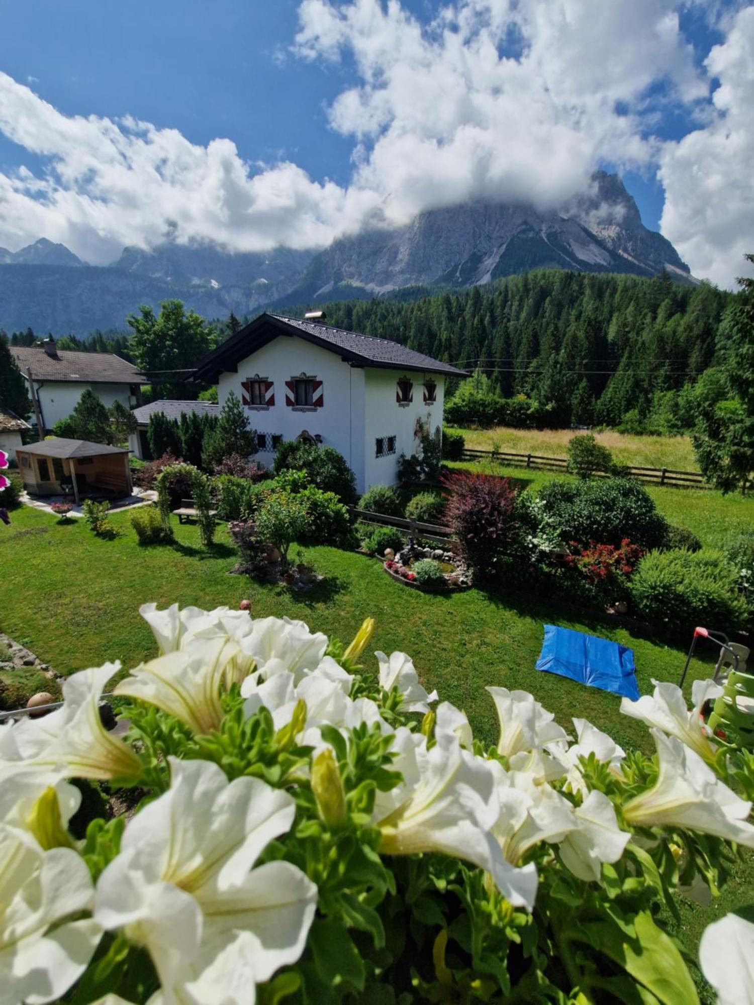 Gaestehaus Schoeneweiss Эрвальд Экстерьер фото
