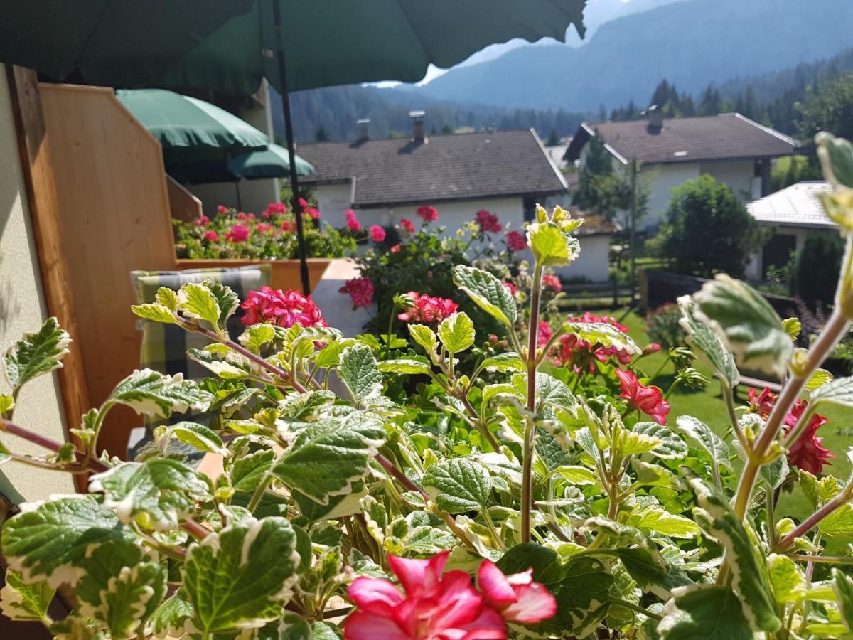 Gaestehaus Schoeneweiss Эрвальд Экстерьер фото